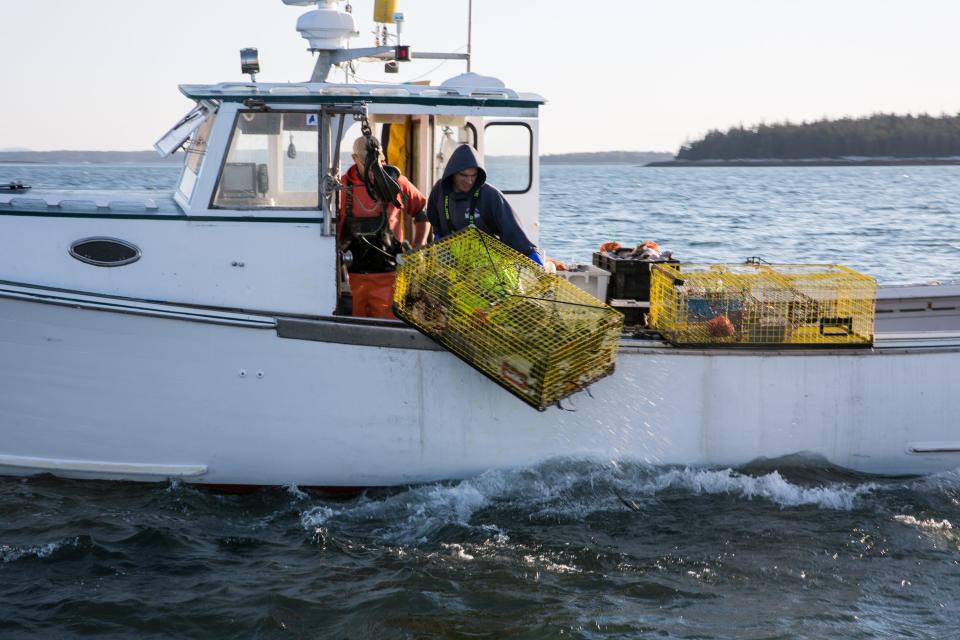Maine lobstermen pull lobster traps up from the water.