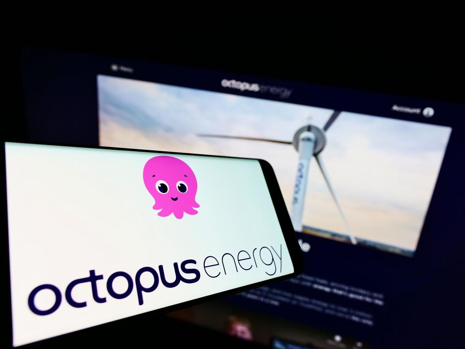 Octopus Energy has been the most active energy supplier in the Demand Flexibility Service (Alamy/PA)