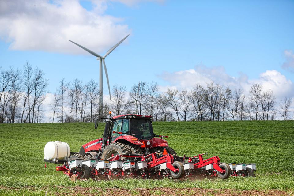 Chad Tasch plants corn seed in an untilled field of cereal rye along St. Paul Road near Pipe. Instead of plowing, the roots of the rye help to loosen the soil while the no-till planter makes a furrow and quickly covers  up the seed.