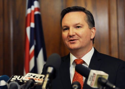 Australian Immigration Minister Chris Bowen, pictured here on September 14, said 16 Sri Lankan men who were eligible to be sent offshore were voluntarily returning home and left on a flight from Christmas Island to Colombo on Saturday