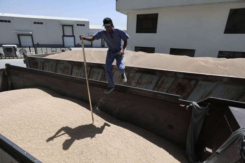 A worker checks wheat loaded on trucks at al-Dora Silo Warehouse in Baghdad. Iraq expects that the rate of wheat will reach about 7 million tons, which is a historic number that has not reached in decades, and this will ensure self-sufficiency and the export of the surplus. Ameer Al-Mohammedawi/dpa