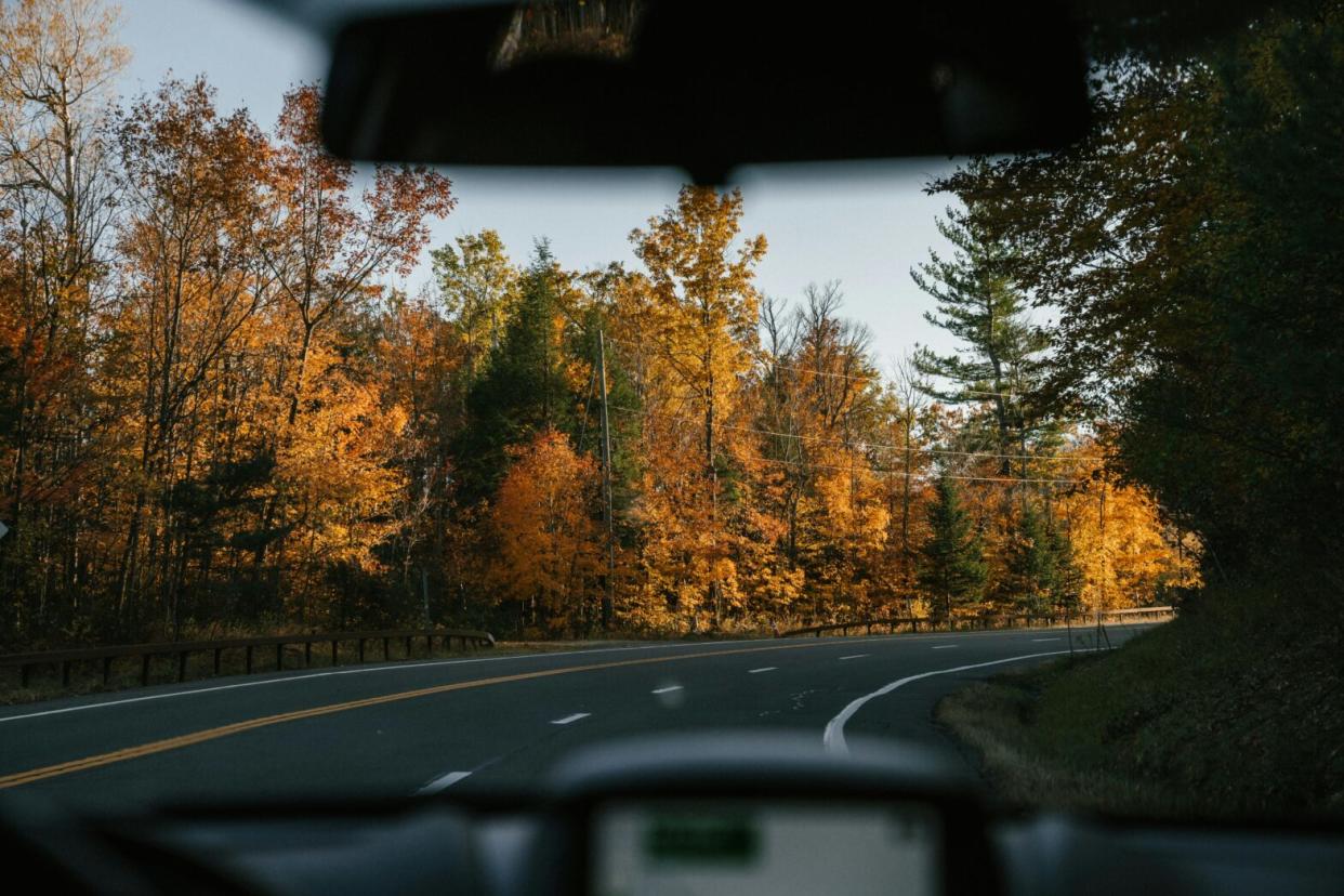 Check out this guide to road tripping through all of the New England states during fall. pictured: yellow fall trees in the background of a car going down a winding road