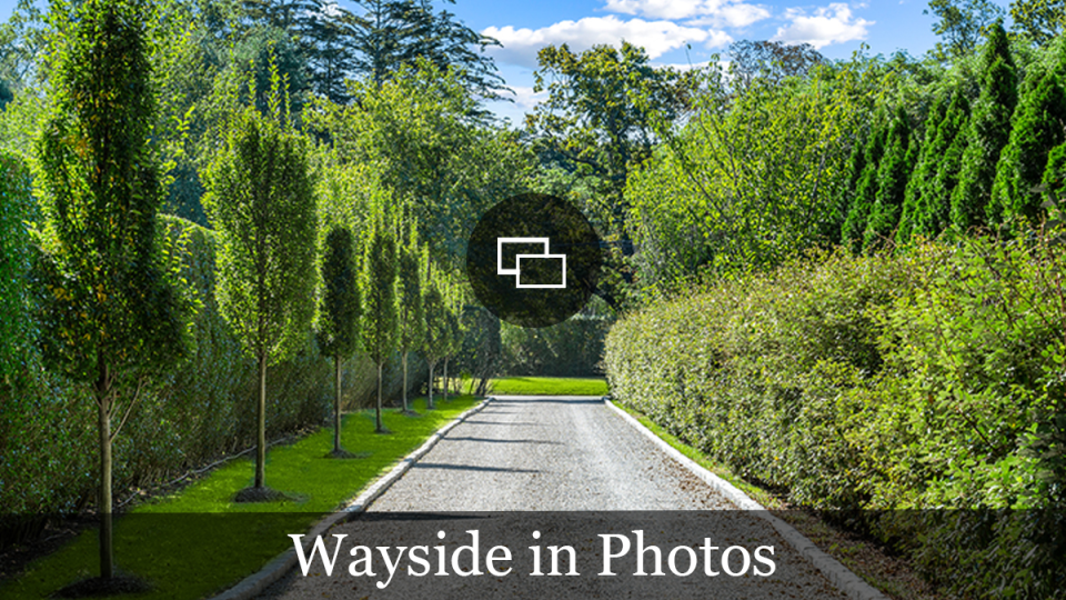 Wayside Hamptons Home driveway