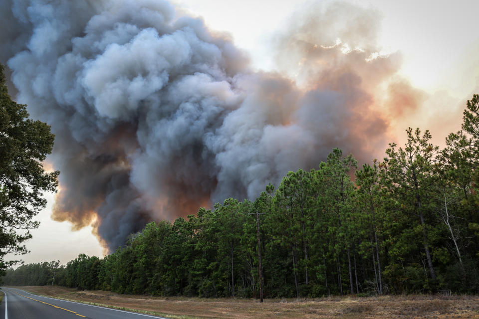 The Tiger Island Fire burning in Beauregard Parish, La., on Aug. 23, 2023. (Louisiana Department of Agriculture and Forestry)