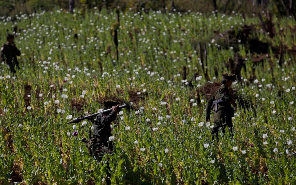 National Liberation Army officers walk through a poppy field in Shan state, Myanmar