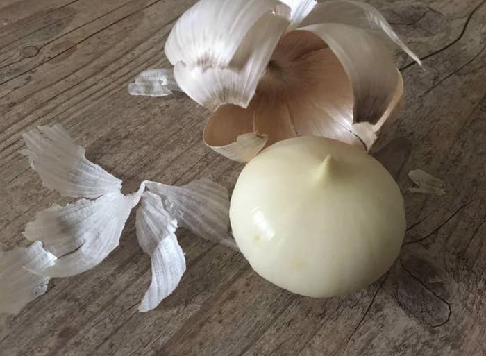 Solo garlic