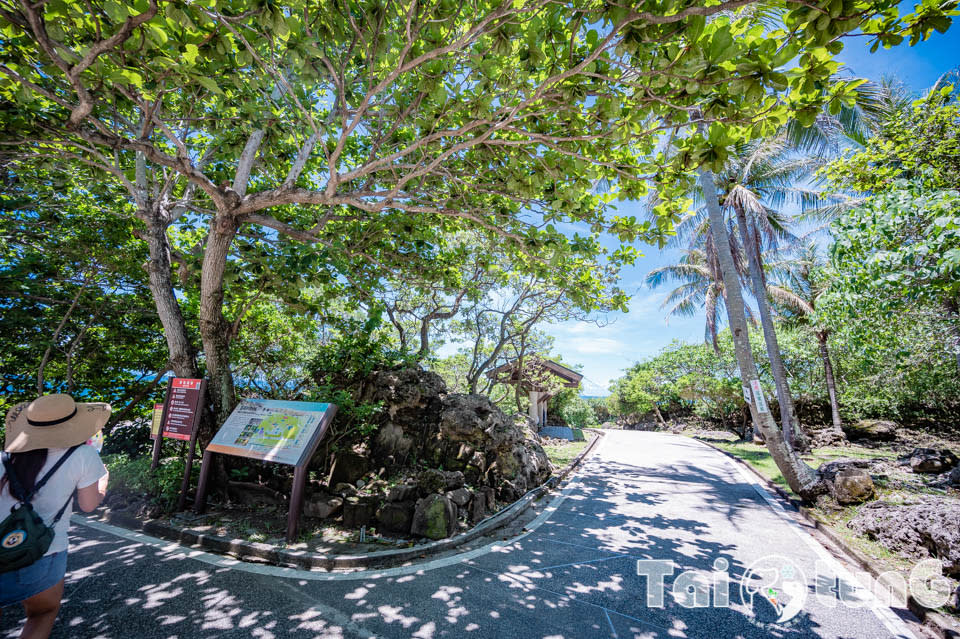 台東東部海岸富岡地質公園