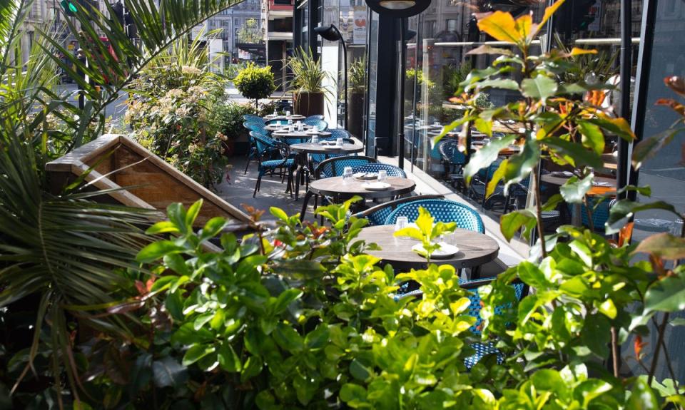 The Terrace at Fallow (Courtesy)