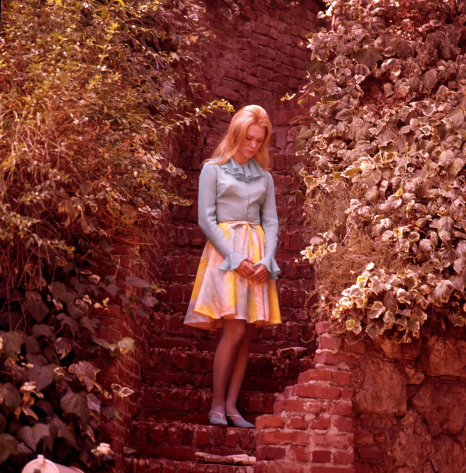 Singer Jackie DeShannon poses for a portrait session on the beach in circa 1964 in Los Angeles, California.