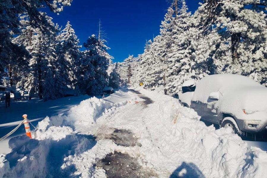 ¡Vestido de blanco! Así amaneció el Parque Nacional “Sierra San Pedro Mártir” en Baja California 