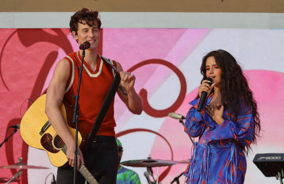 Shawn Mendes and Camila Cabello first started dating in 2019 credit:Bang Showbiz