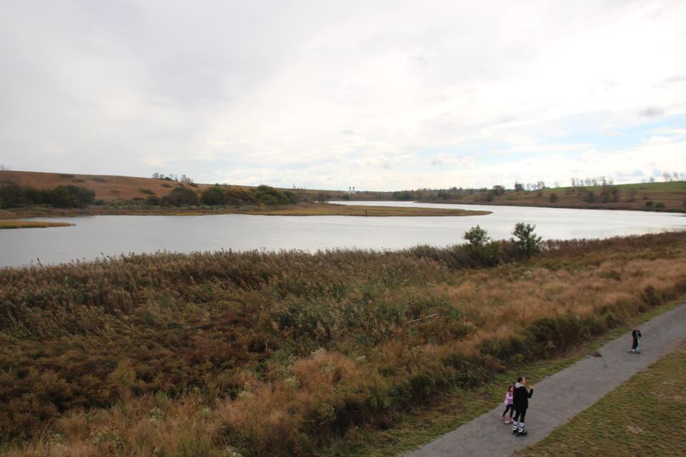 "Freshkills": Die ehemals größte Mülldeponie der Welt in New York wird zum Park. (Bild: Getty Images)