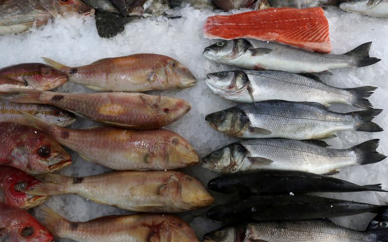 FILE PHOTO: Fresh fish is displayed for sale on ice in a fishmongers shop in London