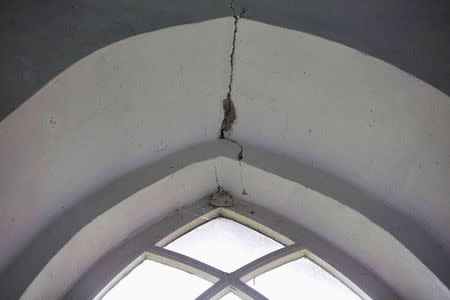 A view of a crack in the ceiling of the 13th-century Maria Church in Westerwijtwerd February 24, 2015. REUTERS/Michael Kooren