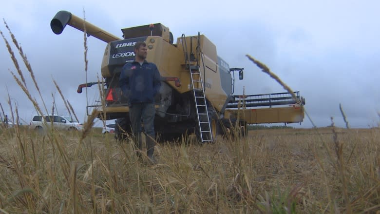 Alberta farmers hope wet weather won't bring a repeat of tough 2016 harvest