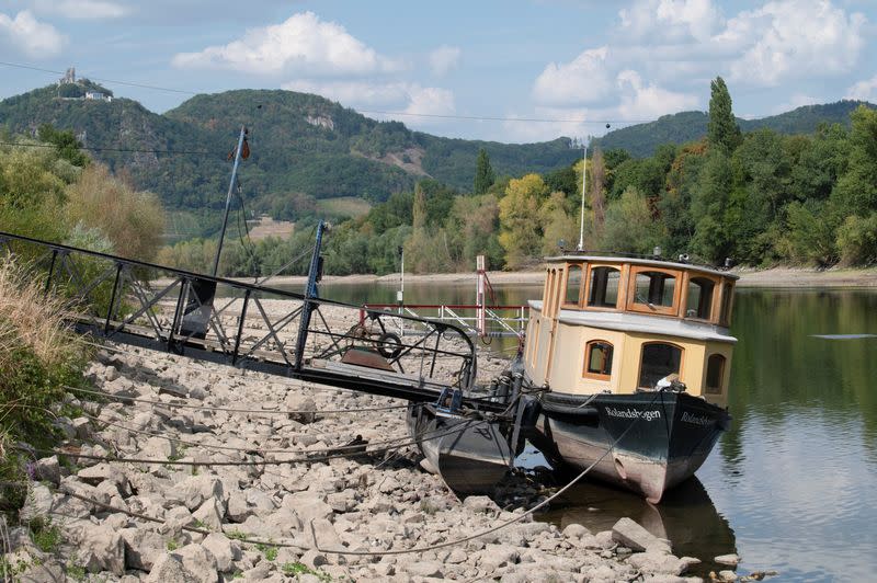 FILE PHOTO: Drought means low water levels in Rhine and a headache for international shipping