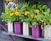 <p> Why not try repurposing common household items into useful garden tools and accessories before you recycle them? Jack Sutcliffe from Power Sheds says that plastic milk cartons, yoghurt pots, and egg boxes are examples of items that can be put to good use in your garden.  </p> <p> 'Any container can be used to grow plants in, just so long as it has sufficient holes for water to seep out,' he says. 'Milk cartons can also be used as watering cans with no effort needed. Puncture a few holes in the lid with a skewer or nail and fill it with water!' </p>