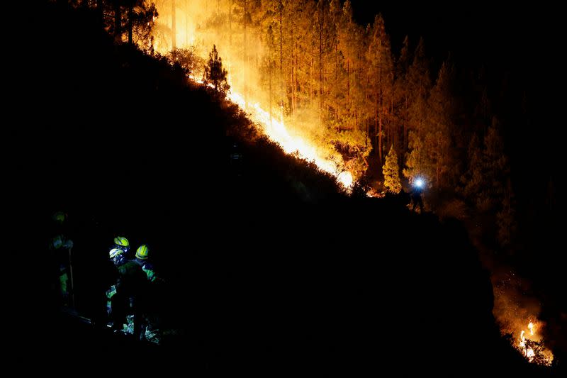 FILE PHOTO: EIRIF forest firefighters work during the extinction of the forest fire in Arafo on the island of Tenerife