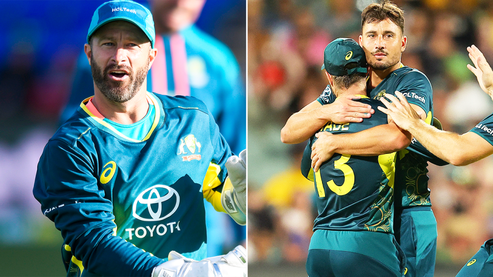 Matthew Wade trains and Wade embraces Marcus Stoinis.