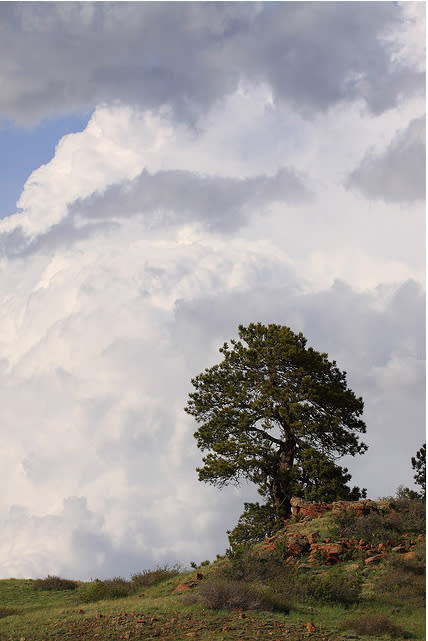 Photo prise près de Veadawoo dans le Wyoming aux États-Unis.<br><br>(Photo courtesy of <a href="http://www.flickr.com/photos/npphotos/3607761387/in/photostream/" rel="nofollow noopener" target="_blank" data-ylk="slk:northernplainsphotography;elm:context_link;itc:0;sec:content-canvas" class="link ">northernplainsphotography</a> © All rights reserved 2009)