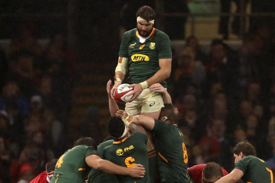 South Africa have beaten Wales and Scotland already this autumn  (AFP via Getty Images)