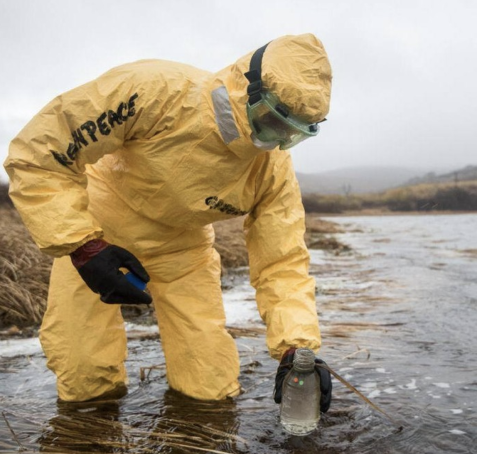 The cause of the widespread pollution off the coast of Kamchatka is still unknown, despite Greenpeace conducting extensive tests. Source: Greenpeace