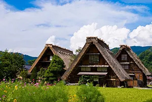 &#x0065e5;&#x00672c;&#x007c73;&#x005176;&#x006797;&#x004e09;&#x00661f;&#x0089c0;&#x005149;&#x00666f;&#x009ede;&#x00ff0d;&#x005408;&#x00638c;&#x006751;&#x00ff0c;&#x006b64;&#x008a0a;&#x00606f;&#x007531;&#x004e94;&#x00798f;&#x0065c5;&#x00904a;&#x0063d0;&#x004f9b;