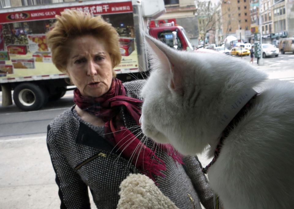 A woman looks at a cat through the window of the cat cafe in New York April 23, 2014. The cat cafe is a pop-up promotional cafe that features cats and beverages in the Bowery section of Manhattan.