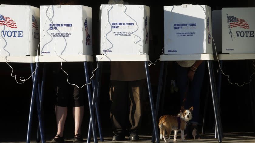 LOS ANGELES, CA - NOVEMBER 5, 2016 - Eleanor Roosevelt rests below voting booths as people cast their votes at the Los Angeles County Fire Department Lifeguard Operations in Venice on November 5, 2016. Attention Editor: That is the dog's name. (Genaro Molina / Los Angeles Times)