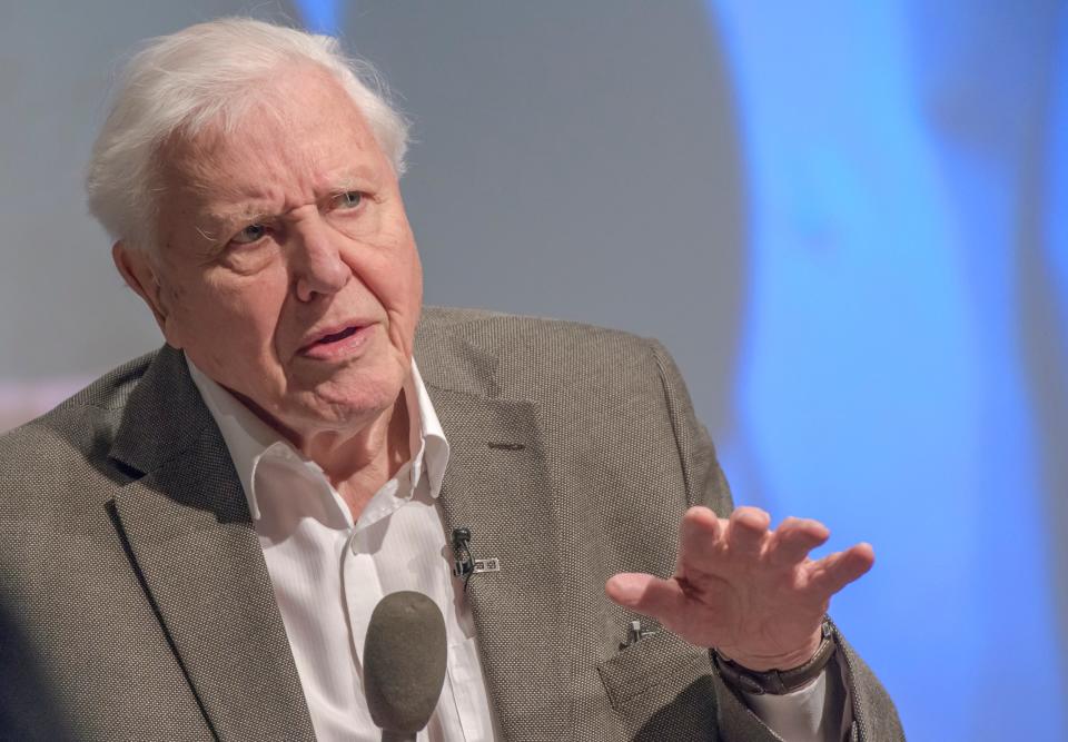 Sir David Attenborough addresses the UK Climate Assembly: Getty Images