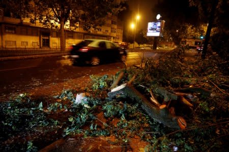 Branches of trees are seen on a street at Benfica neigborhood as hurricane Leslie goes past in Lisbon, Portugal October 14, 2018. REUTERS/Rafael Marchante