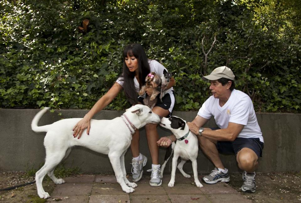 In this Friday, May 11, 2012 photo, DogVacay host and home owner Tracie Sorrentini, left, holds her small dogs, Punky, left, and Puccini, as her father Irving Sorrentini helps with hosted dogs, Yuki, left, and Lexi, right, at her Paw Hills pet resort in Los Angeles. DogVacay brings together dog lovers with casual and professional dog sitters to provide an affordable experience for pets. (AP Photo/Damian Dovarganes)