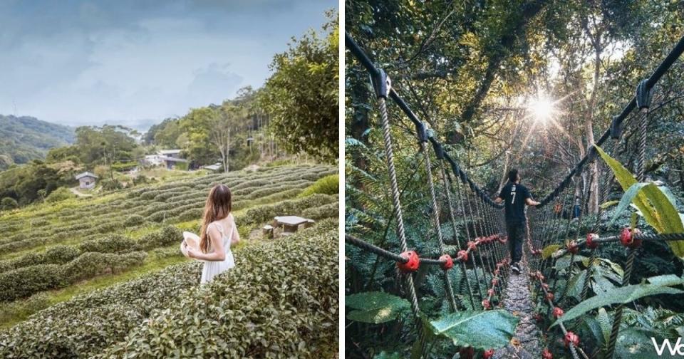 <p>The photo collage shows Maokong Soil and Water Conservation Park (left) and  Pothole Suspension Bridge. (Courtesy of Taipei city government / Taipei Walker)</p>
