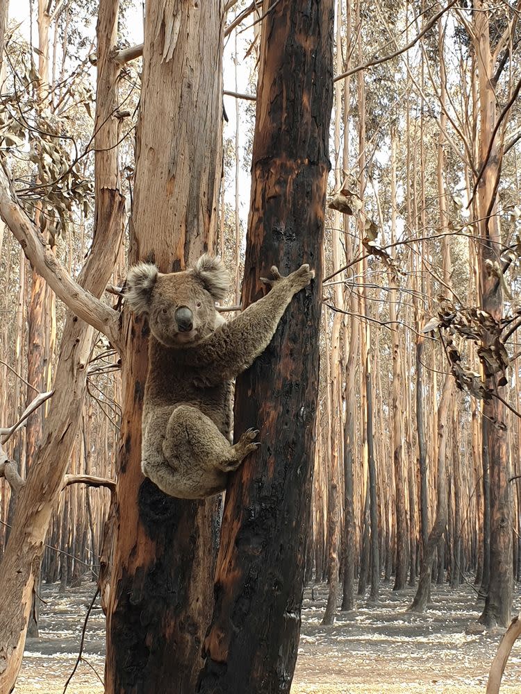 Erica Martin/HSI/Australia