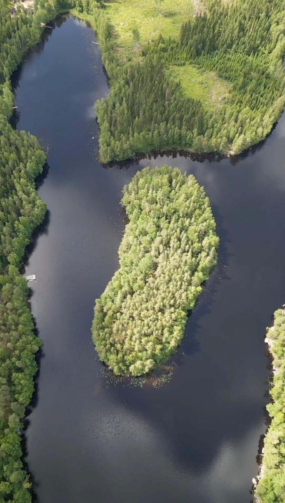 A tree-covered island on a lake in Finland.