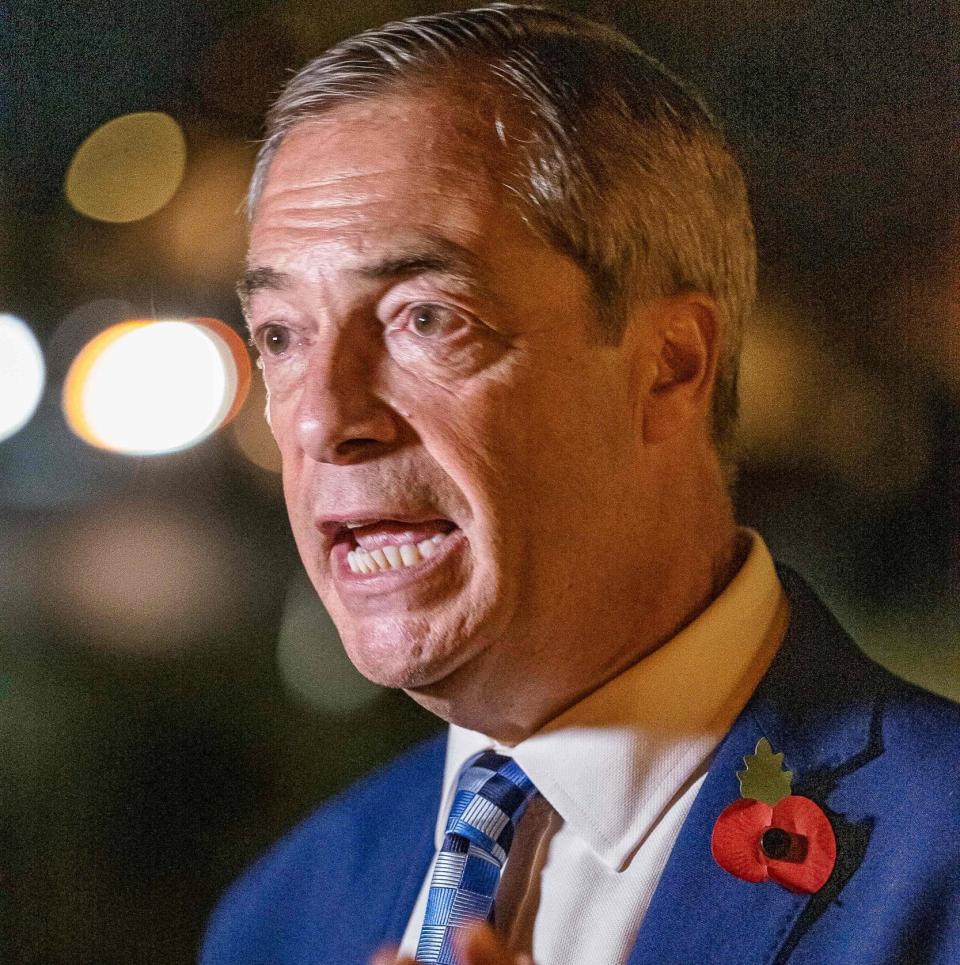 Nigel Farage - Olivier Touron/AFP