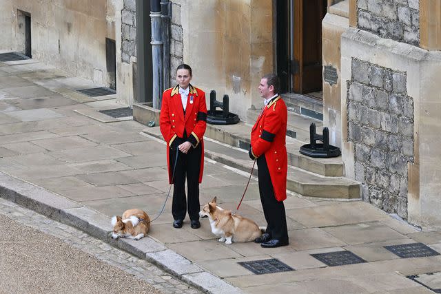 GLYN KIRK/POOL/AFP via Getty Two of Queen Elizabeth's corgis await the arrival of her coffin at Windsor Castle.