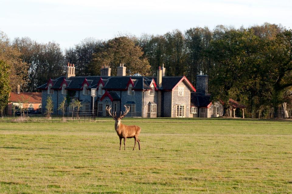 A stag poses outside The Gunton Arms (The Gunton Arms)