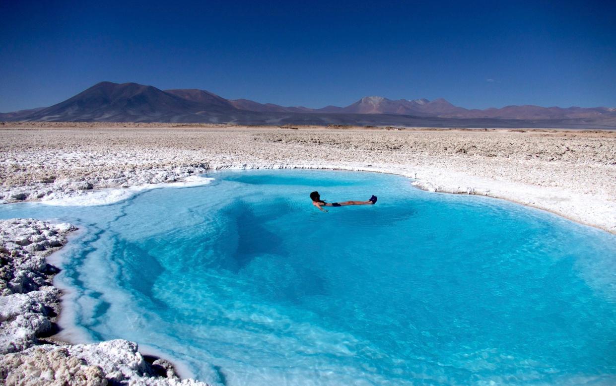 Chile Copiapo, Altiplano Lagoon - Pura Adventure