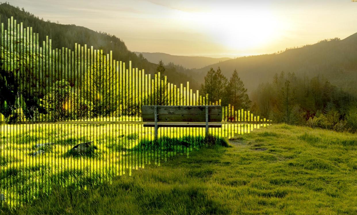 <span>Sugarloaf Ridge state park in Sonoma county, California, where Bernie Krause began recording nature more than 30 years ago.</span><span>Illustration: Guardian Design/Cayce Clifford</span>