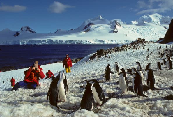 1987: Half Moon Island, Antarctica