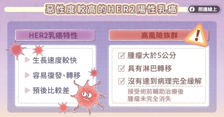 什麼是高風險HER2陽性乳癌？