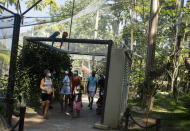 A pair of macaws perch on the top of a passageway as people visit the aviary at BioParque, in Rio de Janeiro, Brazil, Wednesday, May 5, 2021. Refauna, which reintroduces species into protected areas with an eye on rebuilding ecosystems is participating with BioParque to breed blue-and-yellow macaws. (AP Photo/Bruna Prado)