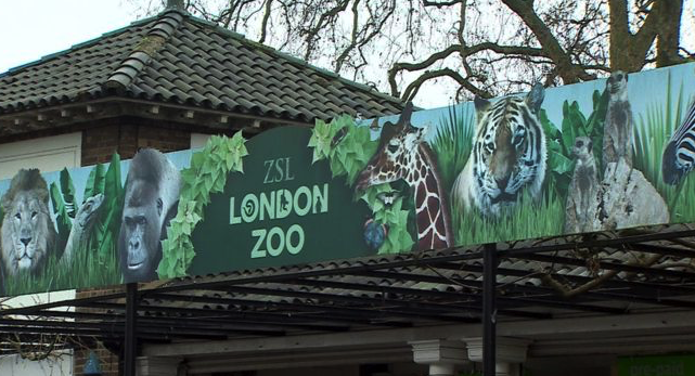 3) ZSL London Zoo