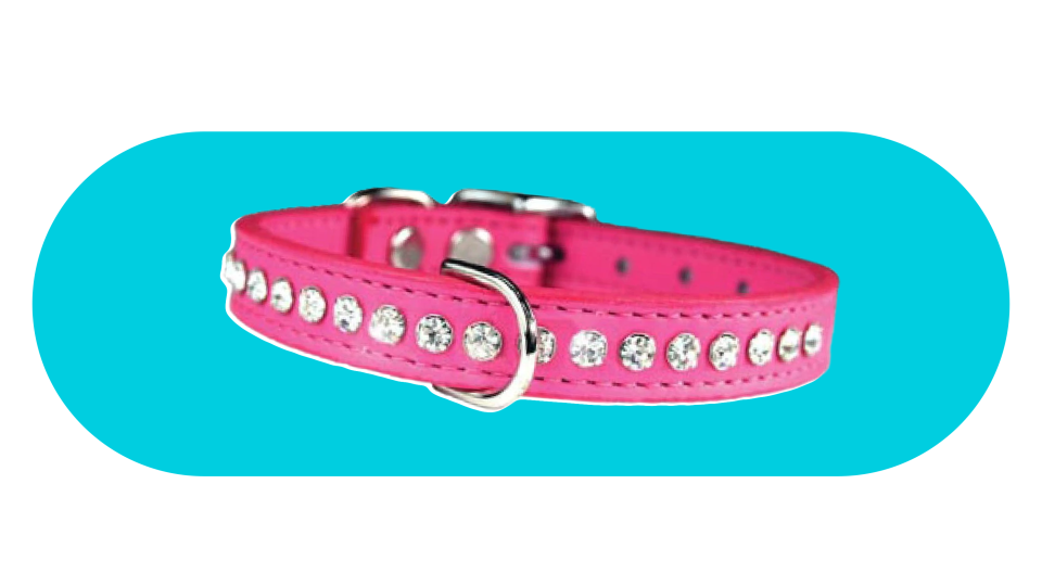 Barbiecore pet products: dog collar