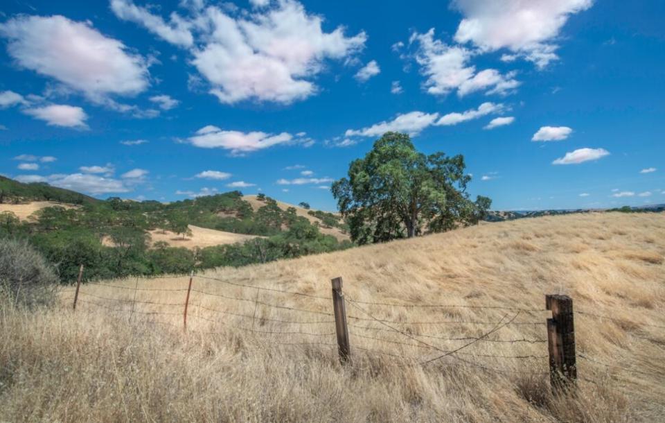 Vast hills, meadows