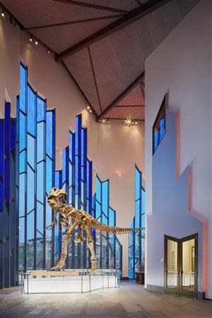 A mounted cast of a T. Rex skeleton at the new Museum at Prairiefire in Overland Park, Kansas is pictured in this undated photo courtesy of The Museum at Prairiefire provided to Reuters on May 11, 2014. REUTERS/The Museum at Prairiefire/Handout via Reuters