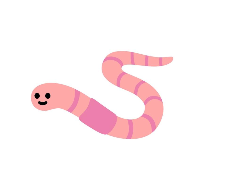 worm