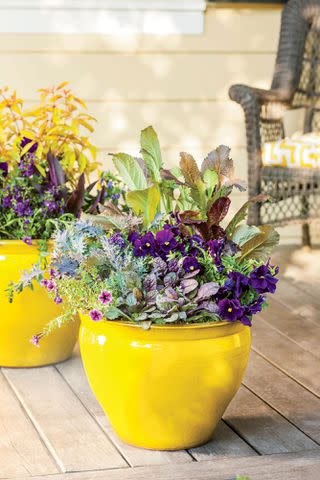 Simple Summer Planter Pot Ideas for Shade - Home with Holliday