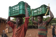 Farmers carry crates with avocados from a plantation in Ngozi, Burundi, Sept. 18, 2024. (AP Photo/Brian Inganga)